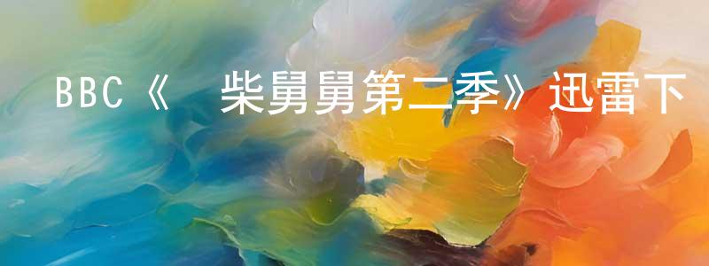 曹洪的個人主頁,BBC《廢柴舅舅第二季》迅雷下載/在線觀看/百度云-都市/情感-美劇天堂